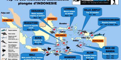 carte-top-10-sites-plongee-indonesie