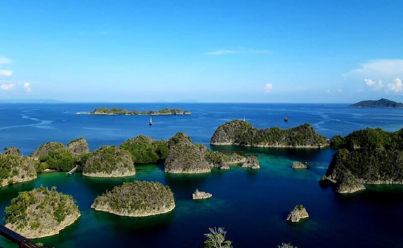 fam island penemu raja ampat indonesia 2